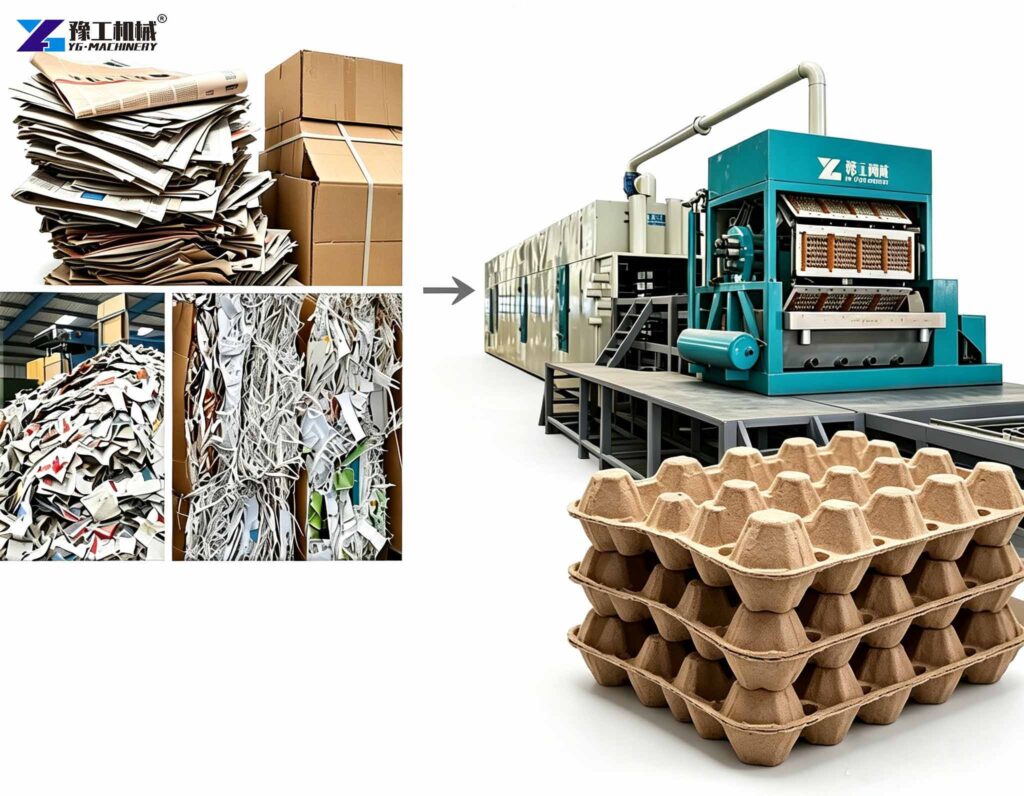 automatic egg tray machine for sale