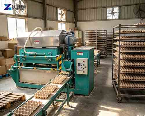 egg tray making machine for sale