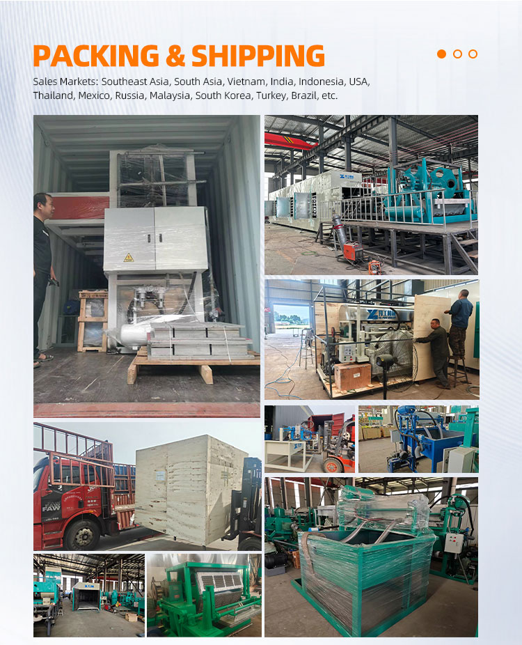 egg carton making machine manufacturer