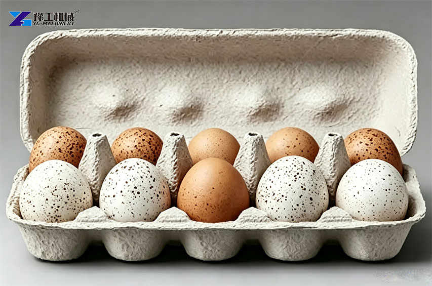 molded pulp egg tray