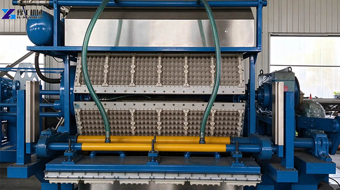 pulp molding equipment for making wet egg trays